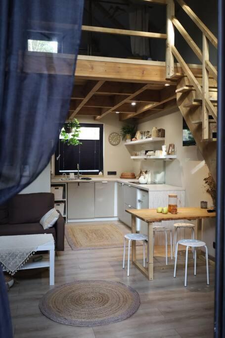 Domek Szumisosna2 Zyciny エクステリア 写真